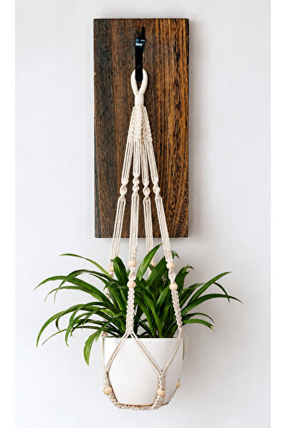 Divine Design Rustic Wooden Wall Hooks | Handmade Farmhouse Coat & Key Holder | Decorative Entryway Organizer -Pack of 2 (Plant not included)