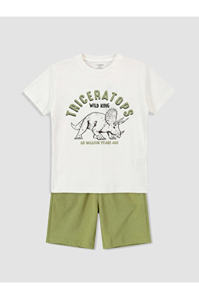 LC Waikiki Printed Boys' Set