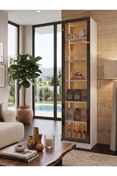Free Home Modern LED Aydınlatmalı Sora Vitrin Tek Kapaklı Cam Vitrin | Çerçev...