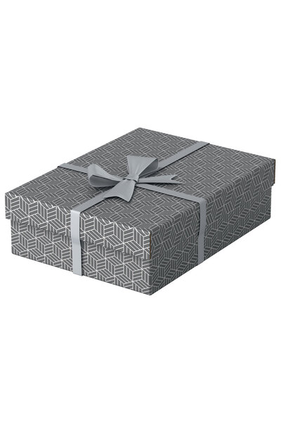 Esselte Cutie de depozitare cu capac 36 x 26 x 10 CM gri reciclată