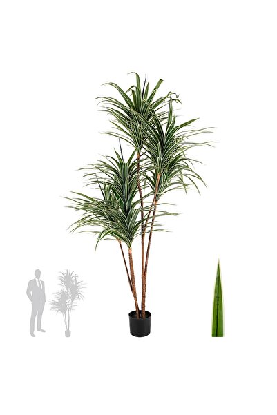 Roberto Rossi Dracaena artificiala marginata cu 310 frunze verde cu alb H180cm