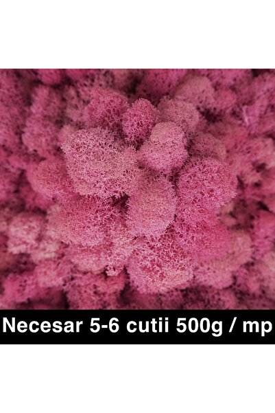 Roberto Rossi Licheni curatati si fara radacina conservati 500g NET, calitate...