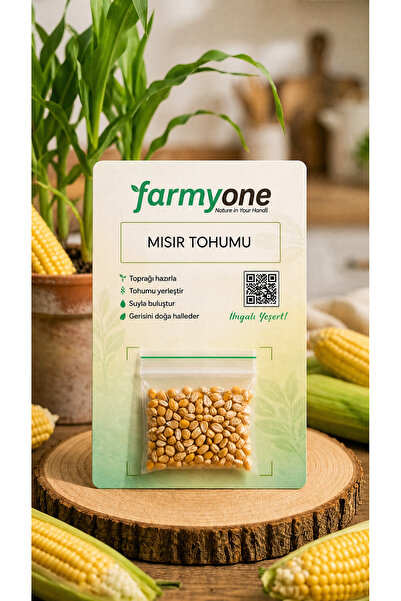 farmyone Yerli Süt Mısır Tohumu 50 Adet