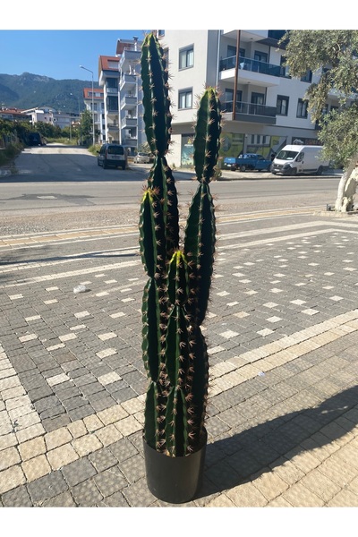 Yapay Premium Saguaro Beşgen Kaktüs 130 cm