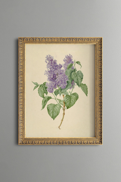 epiqart ليلاك دالي - إطار منقوش بتصميم عتيق - موديل نحيف