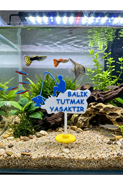 CNCMAN3D AKVARYUM TABELA BALIKCI FORMLU STANDLI