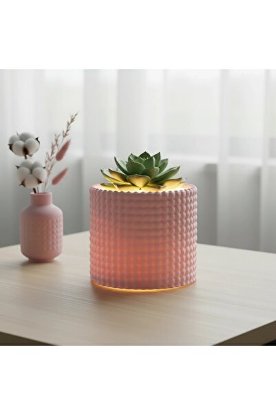 OEM Ghiveci Decorativ Imprimat 3D pentru Plante de Interior cu Textură Modernă