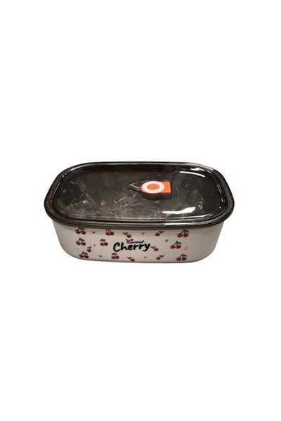 Clini Cutie pentru sandwich cu geantă de transport, 1700 ml, 5X-0796