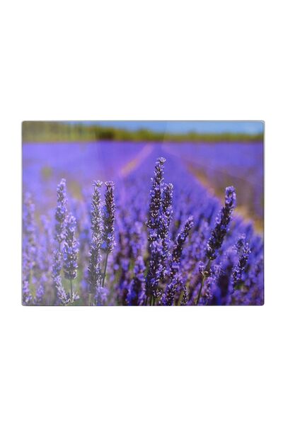 MONDEX Tocător din sticlă Allesken Aria 40 x 30 cm Lavandă 1 buc.