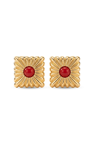 Charmist Steel Corelia Earrings