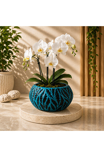 Home El Yapımı Dekoratif Alçı Saksı Modern Çiçek Saksısı