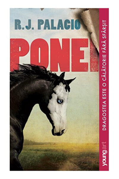 Editura Art Pigeon, R.J. Palacio - Art Publishing House