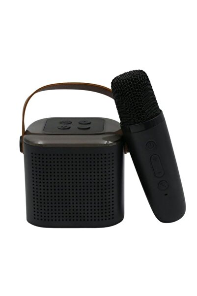 Yallabena Portable Wireless Karaoke Set with Bluetooth Speaker, Wireless Micr...