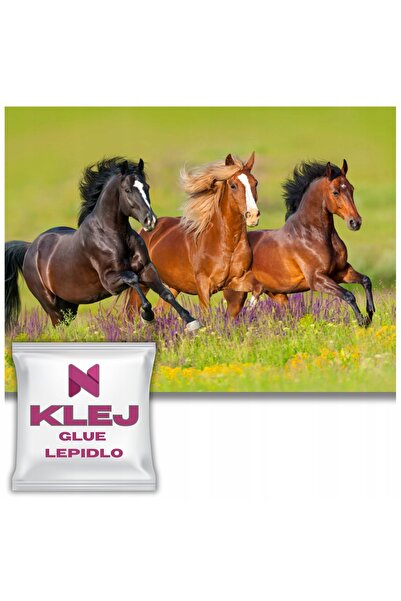 Naklejkomania Fototapet Cu Cai Decoratiuni Murale Tapet Decorativ 260x390