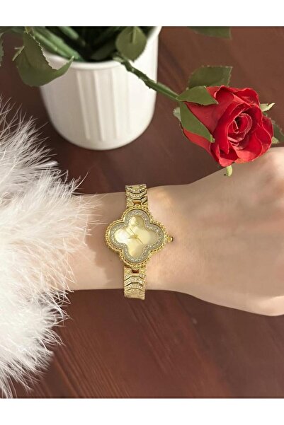 vanus fashion ساعة نسائية فاخرة W66