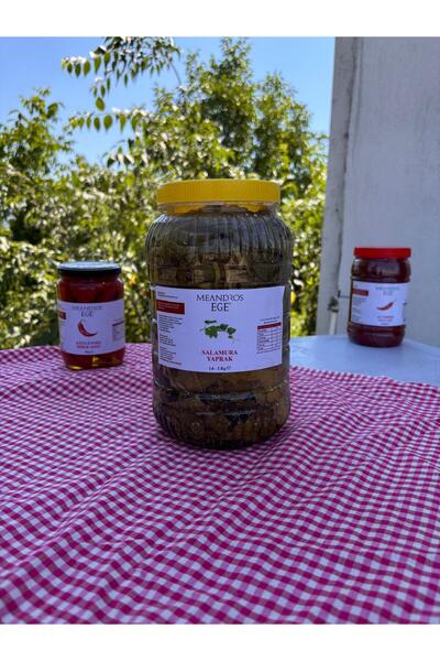 SALUMARA YAPRAK (3KG LIK BİDON 1,6-2 KG )