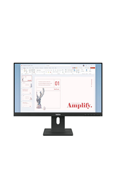 LENOVO Monitor ThinkVision E24-40 23.8" IPS FHD 100Hz, Suport Ergonomic
