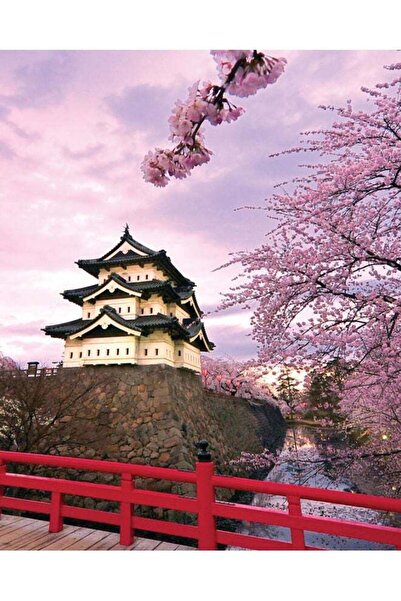 Zoot Japan House Wall Art Framed Canvas Painting Multicolour 50x40cm