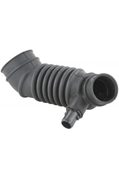 FEBEST Furtun, alimentare aer 04450-002