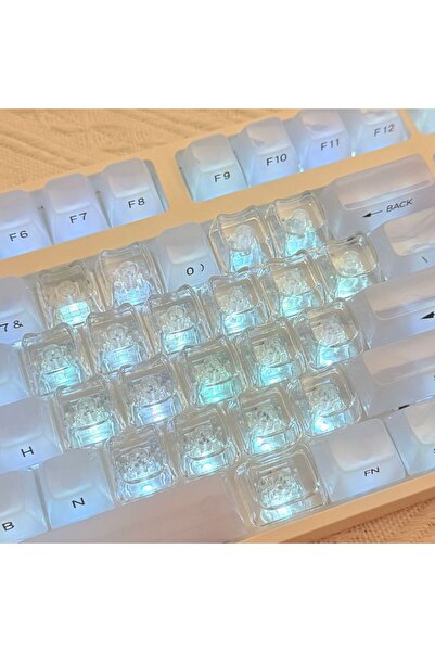silabor 21 Tuşlu Şeffaf Kırmızı Mekanik Klavye Tuşu Seti | RGB Uyumlu Keycaps...