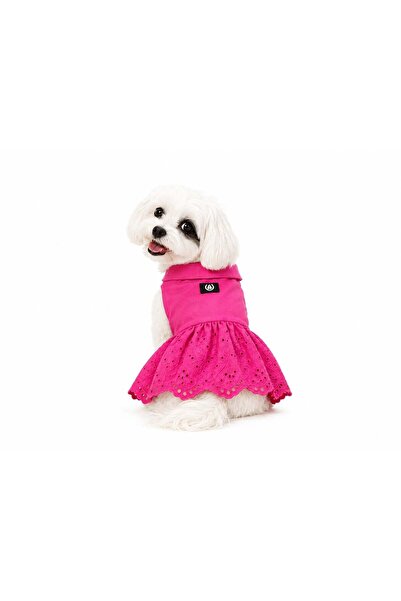 Alphadog Fisto Pink Küçük Irk Köpek Elbisesi