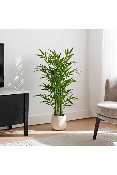 PAN HOME شجرة الخيزران الاصطناعية بارتفاع 120 سم - خضراء