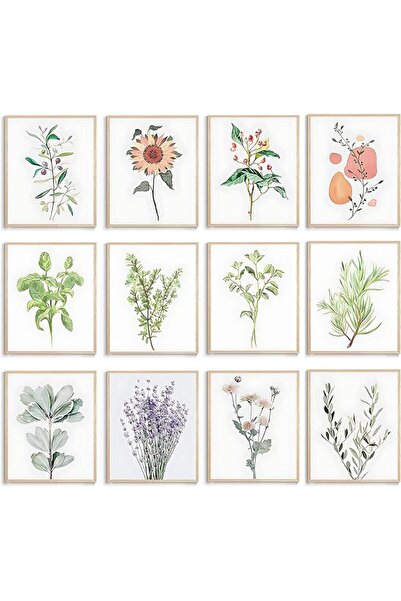 ESSESORIES Frameless Botanical Plant Pictures Plant Aesthetic Poster Wall Art...