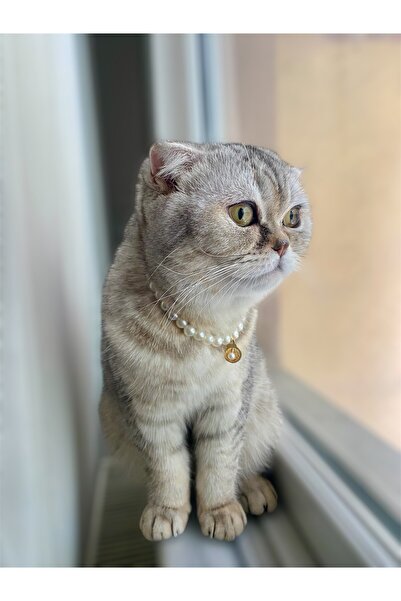BİJUTERİ EVİ İncili Kedi Tasması – Ayarlanabilir, Şık Kedi Boyun Kolyesi