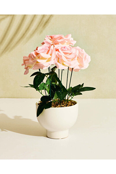 REDTAG Pink Artificial Rose in Ceramic Pot
