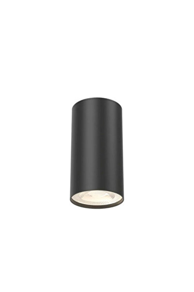 OEM Spot aplicat Braytron GU10 max. 1x35W Ø55mm, negru