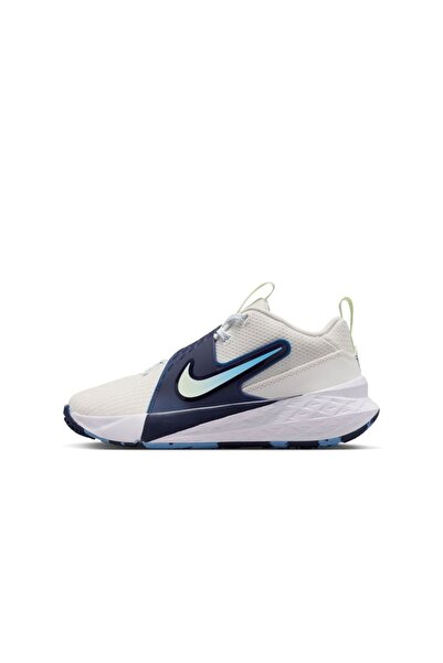 Nike Team Hustle D 12 (Gs) Boys' Casual Sneakers Hf6279-104