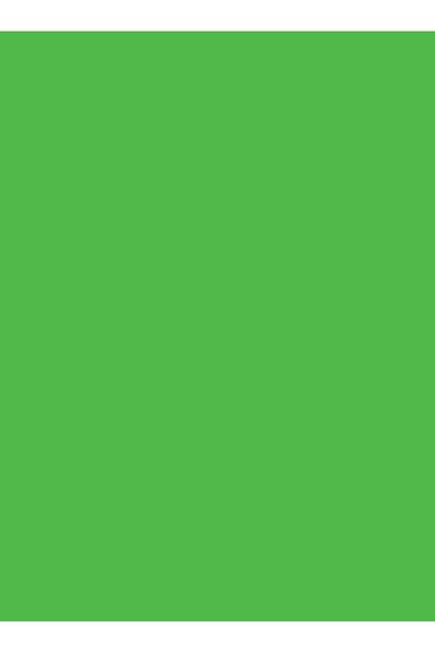 Canson Χαρτί Colorline 50x70 ιντσών σε ανοιχτό πράσινο χρώμα (105741029)