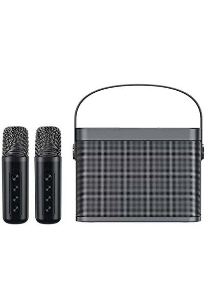 YS -219 Bluetooth Karaoke Speaker System with Dual Wireless Microphones – Por...