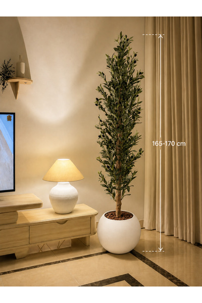 Rafef Artificial Olive Tree 1650170cm with Maccony Root