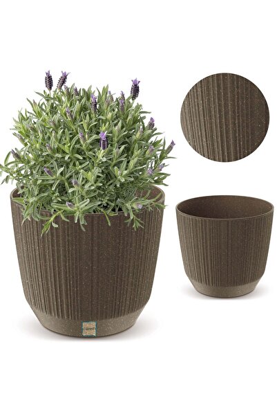 EDANTI Husă ghiveci plante de interior 12,6 cm Ryfo pentru masă, pervaz, cafea