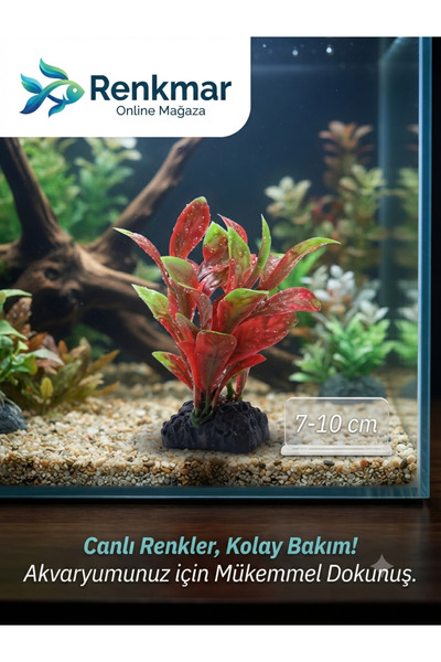 renkmar Akvaryum Yapay Bitki Dekor 7-10 cm - Canlı Renkli Süs Bitkisi