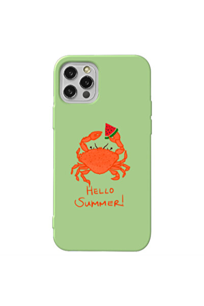 Other Apple iPhone 12 Pro Max Hello Summer! Light Green Colored Silicone TPU ...