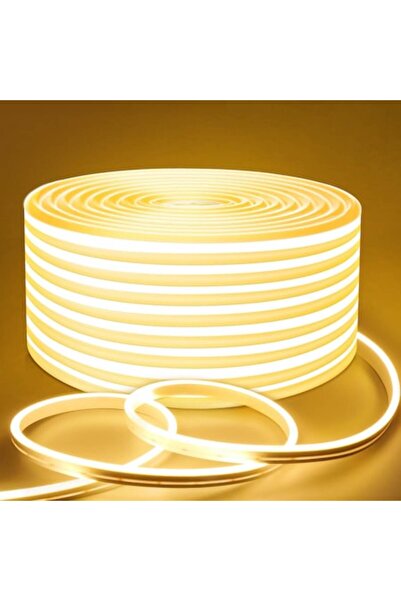 lamomo Bandă LED Neon, 5 m, Lumină caldă 3000K, Intensitate reglabilă, IP65, ...