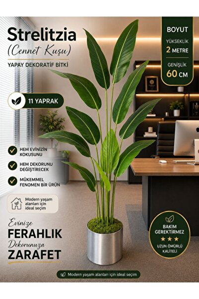 SBB Yapay Ağaç Straliçe Ağacı Metal Dekoratif Saksıda 2 Metre Boyunda