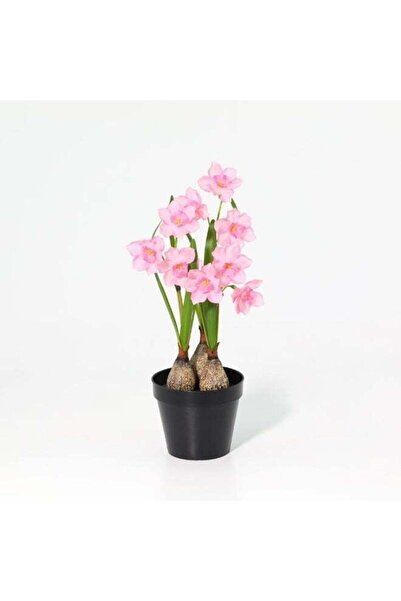 Danube Home Fernza Artificial Daffodil Plant 37cm Pink Potted Decorative Flower
