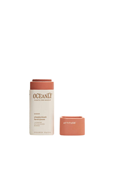 Attitude Fard de Obraz Stick Ginger 8.5g