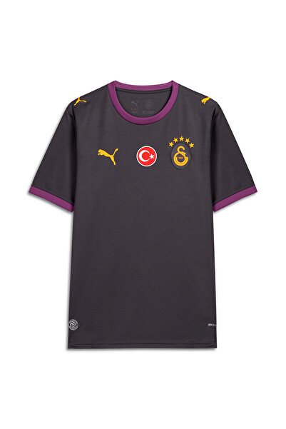Puma Galatasaray 26/27 Erkek Deplasman Gri Forma