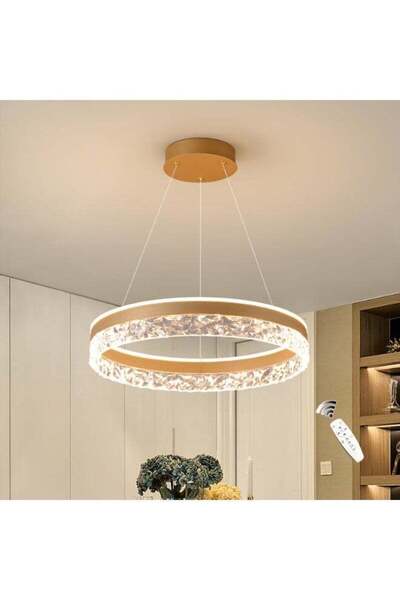 Generic tineni Golden Modern LED Ceiling Lamp With Remote Dimming Function | ...