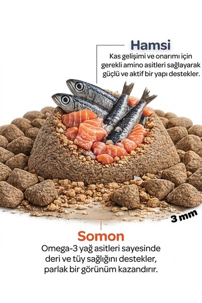 obivan Kitten Somonlu ve Hamsili Yavru Kedi Maması 6 Kg