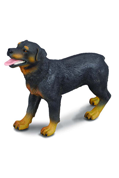 OEM Rottweiler - collecta