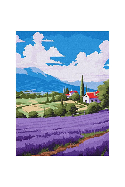ideyka Set pictura pe numere Campuri de lavanda, cu panza preimprimata, 30x40...