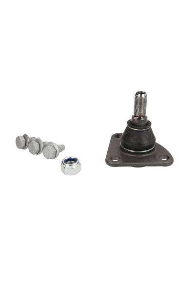 FEBI BILSTEIN Pivot Axa Dreapta/Stanga (inferior Fata) (diametru Con 24mm cu ...