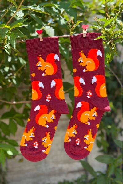 LouSocks جوارب ملونة بنقشة السنجاب للجنسين