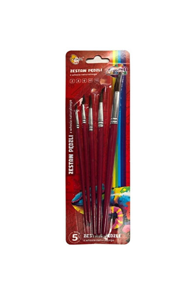 Sweet colours Set 5 pensule Sweet Colours, din par , marimi 2/4/8/10/16, Mult...