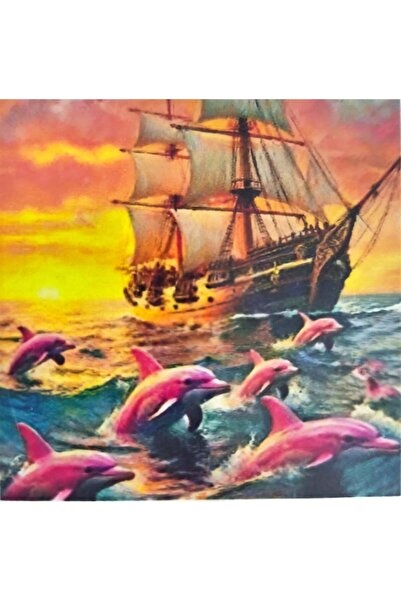 LİVA CRAFT Art & Craft Diamond Mosaic Painting, 30X30Cm Sailboat and Pink Dol...